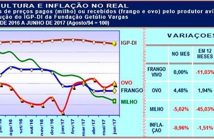 20170721 Grafico 2