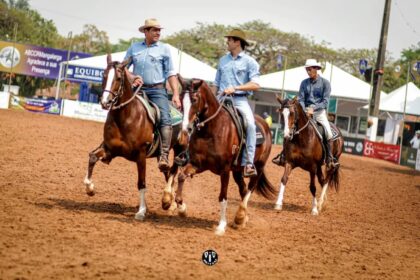 43a Expo Nacional Mangalarga 2021