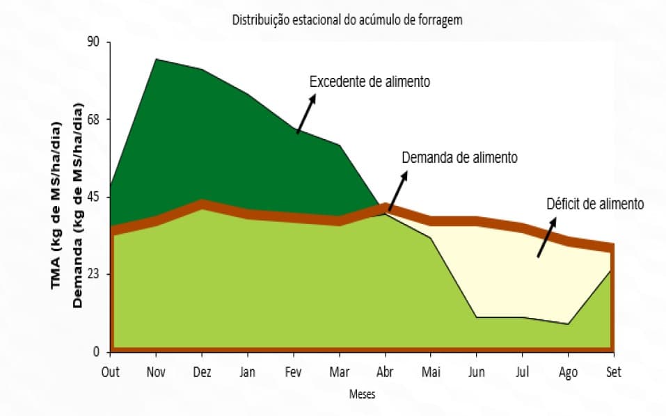 produção de leite