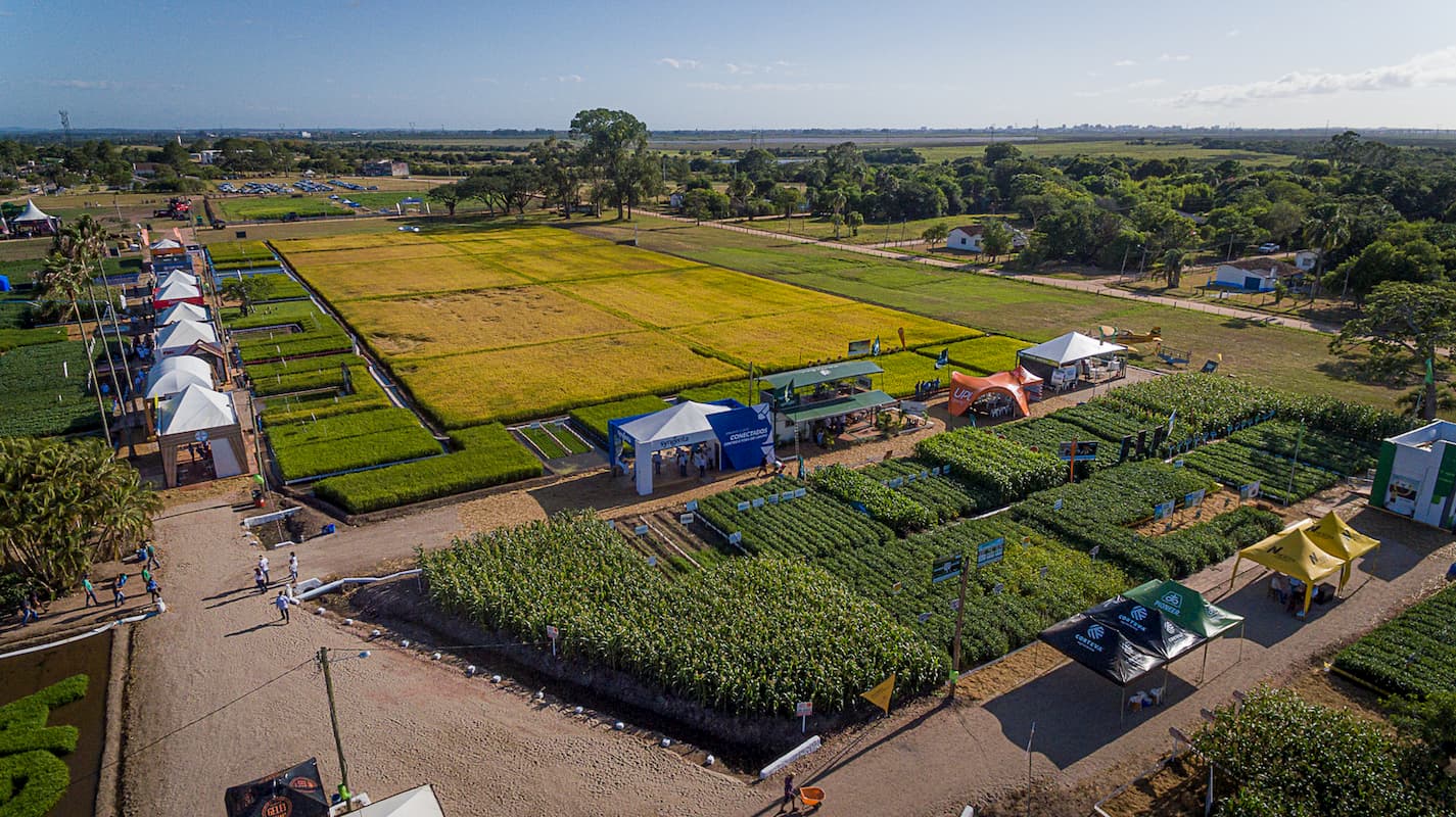 Area Colheita Do Arroz 2020 Credito Fagner Almeida Divulgacao 1