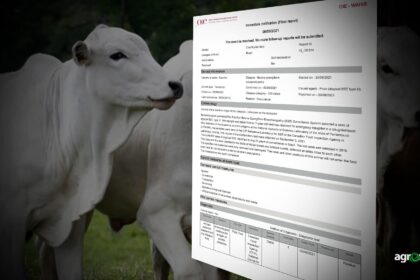 Casos De Vaca Louca Nao Representam Riscos A Pecuaria Nacional Diz Oie