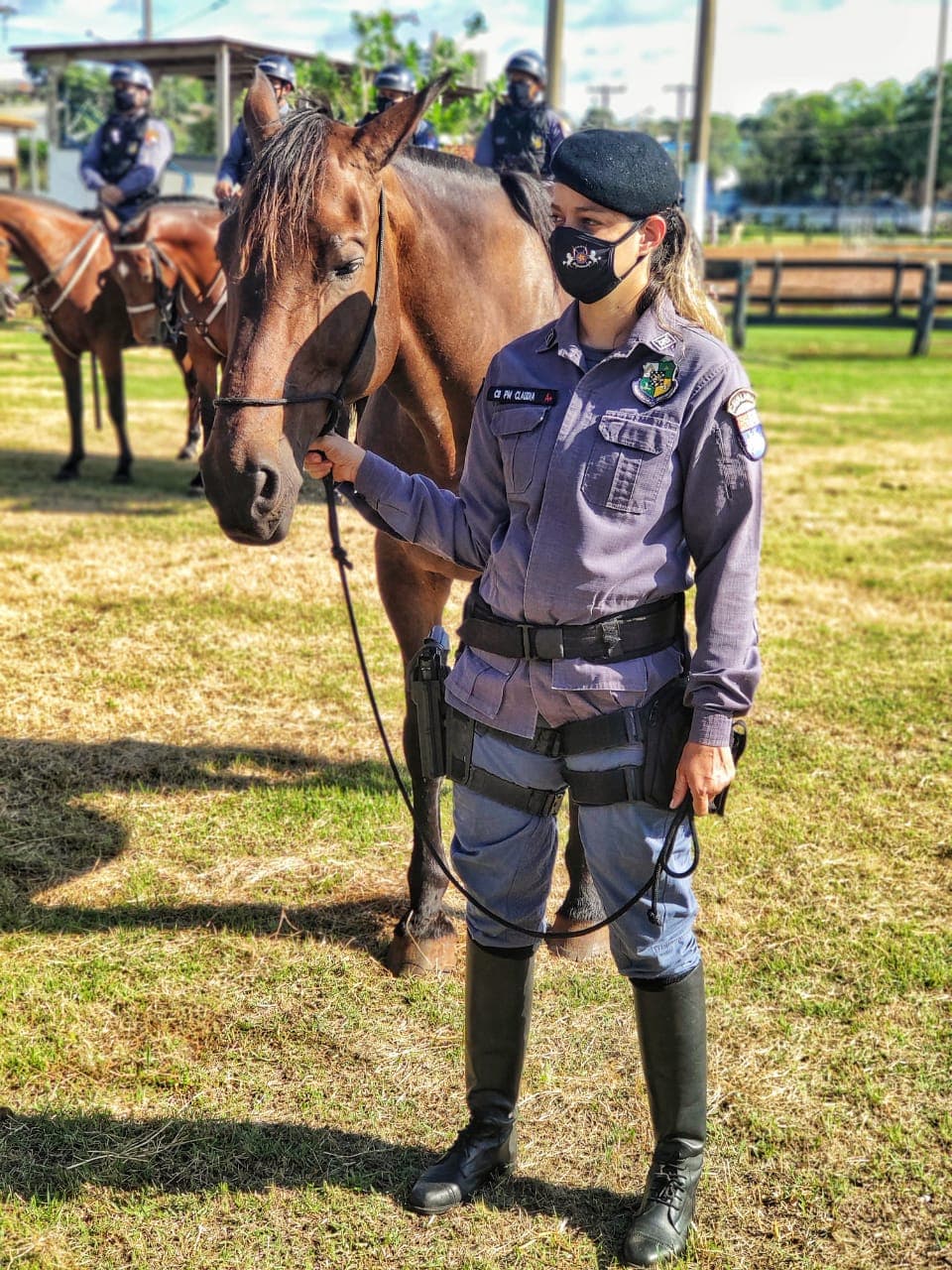 Cavalos policiais