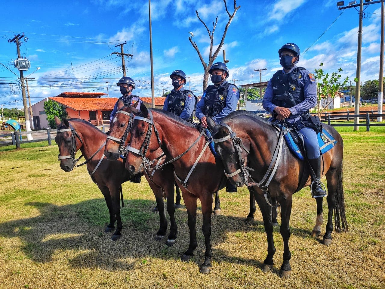 Cavalos policiais