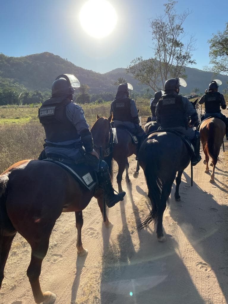 Cavalos policiais