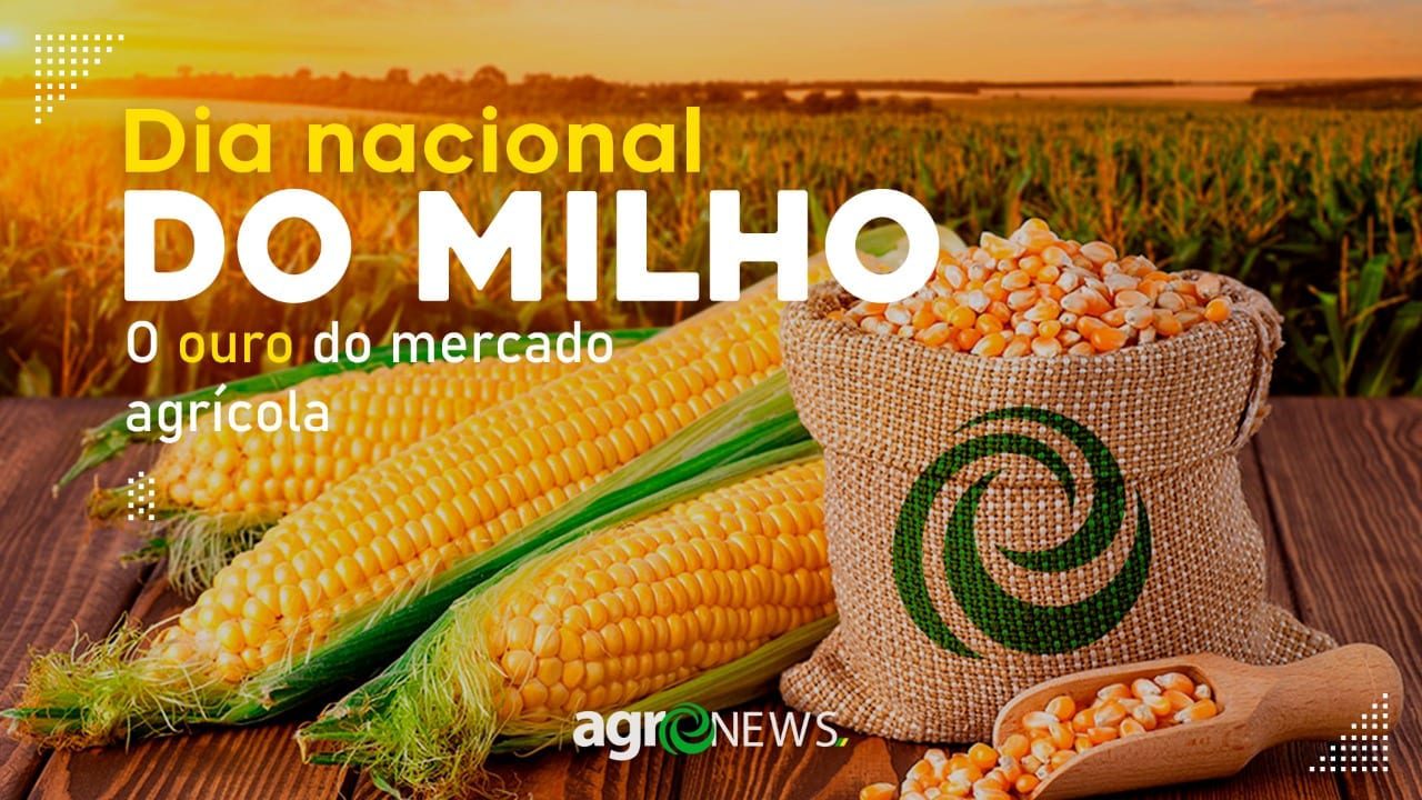 Dia Nacional Do Milho