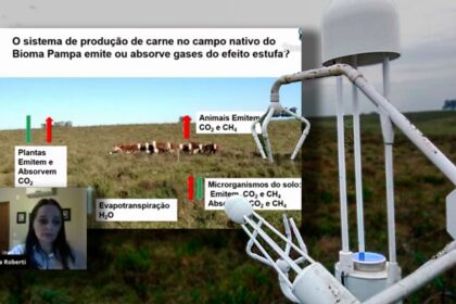 Pesquisa Revela Que O Pampa Gaucho Absorve Gases Do Efeito Estufa Gee De Forma Organica