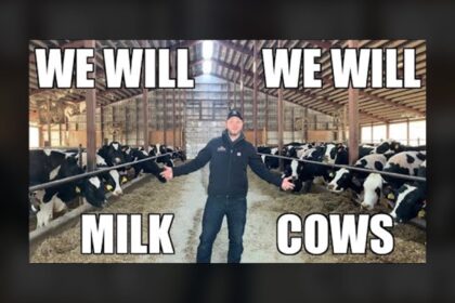 We Will Milk Cows