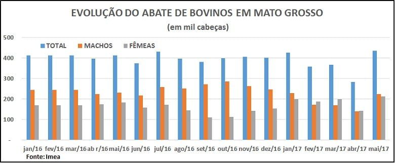 Abate Bovino Mato Grosso