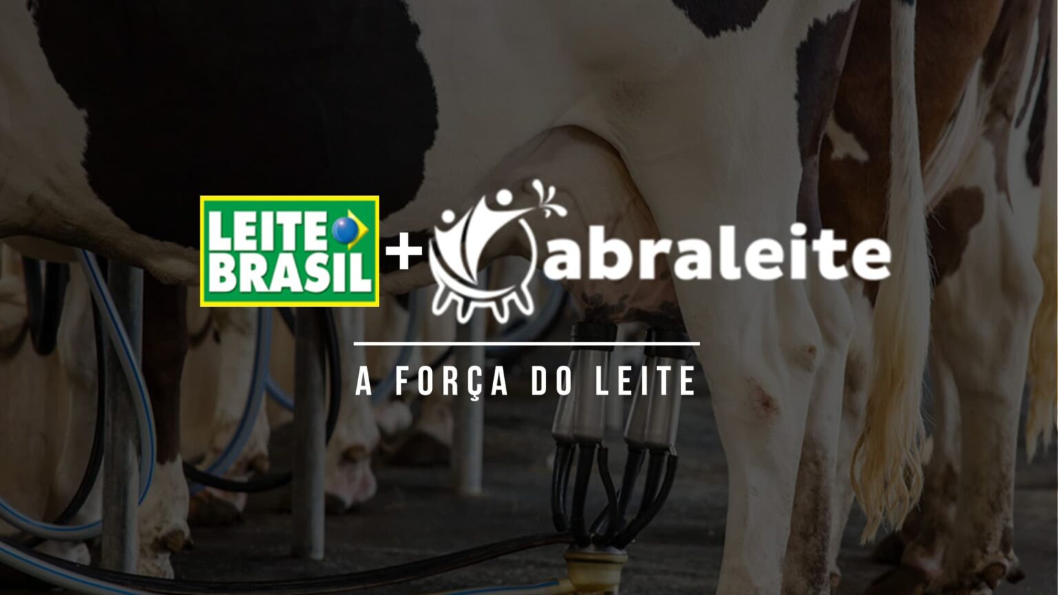 Abraleite E Leite Brasil