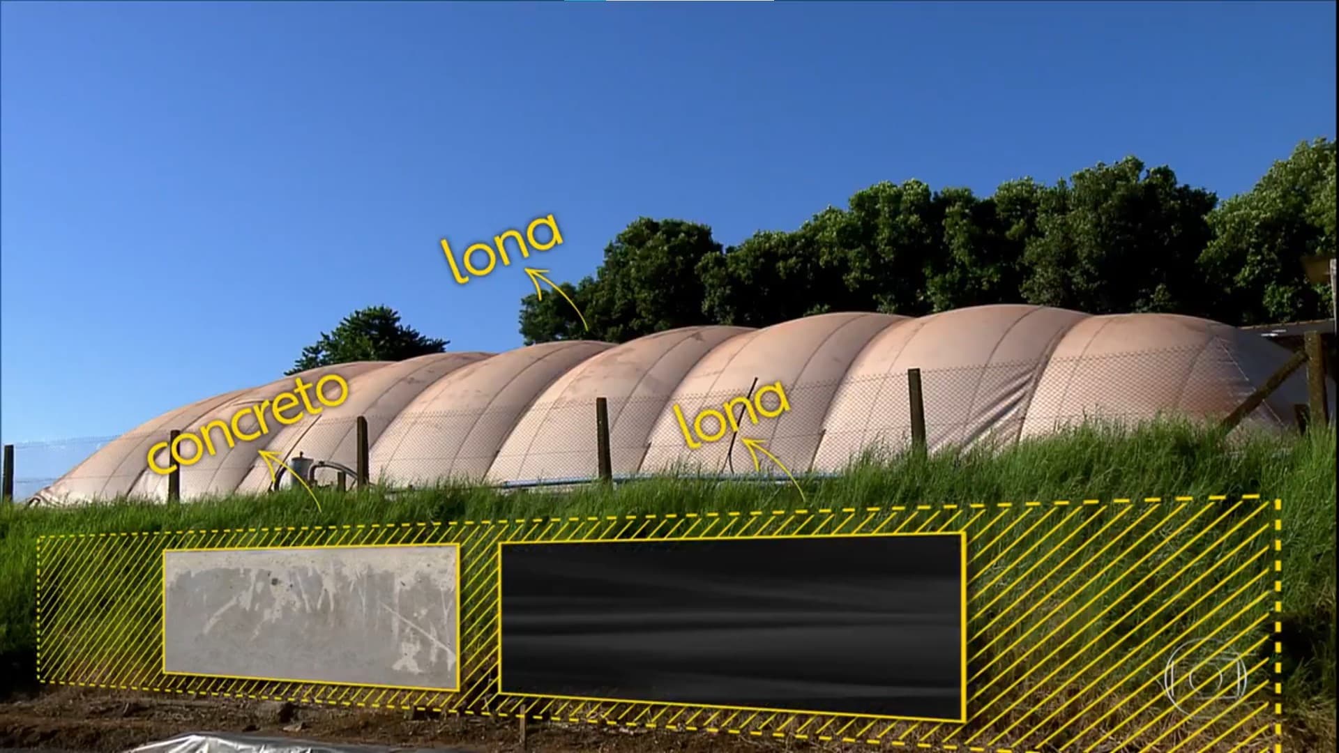 biodigestores