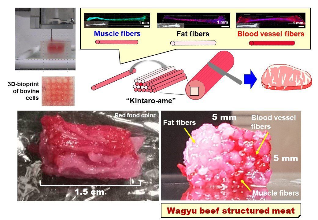 carne Wagyu usando bioimpressora 3D