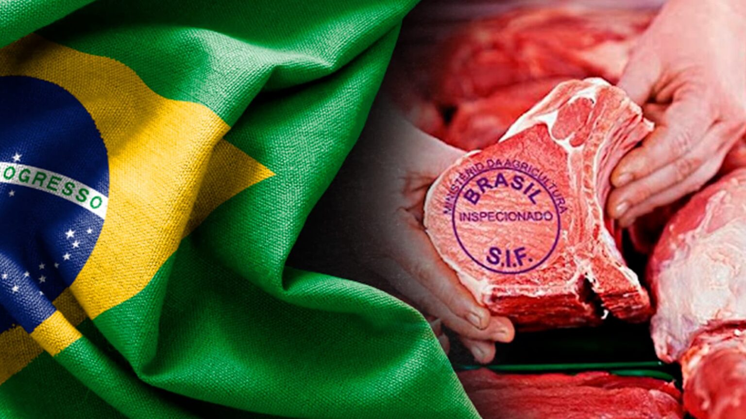 Carne Certificada Brasileira Agronews