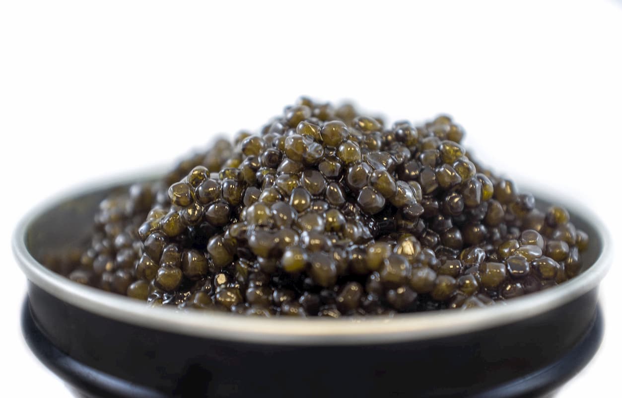 Caviar