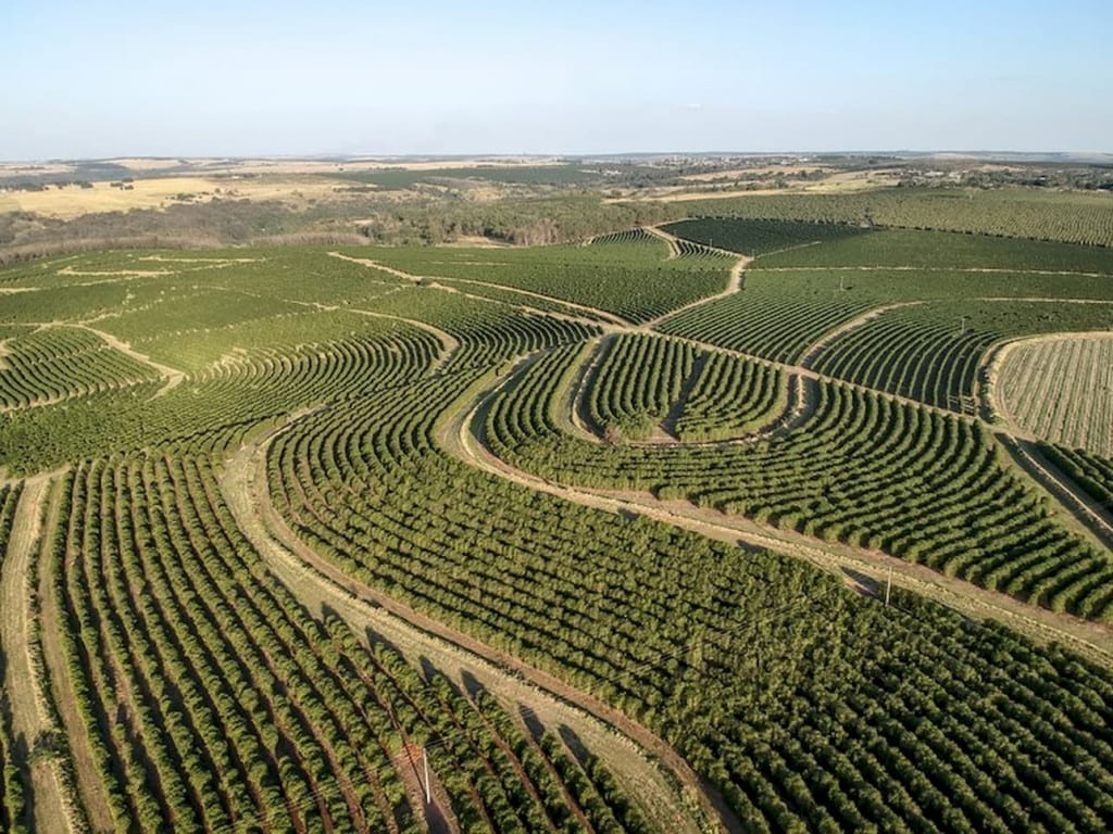 4 novidades legislativas que destravam a regularização ambiental