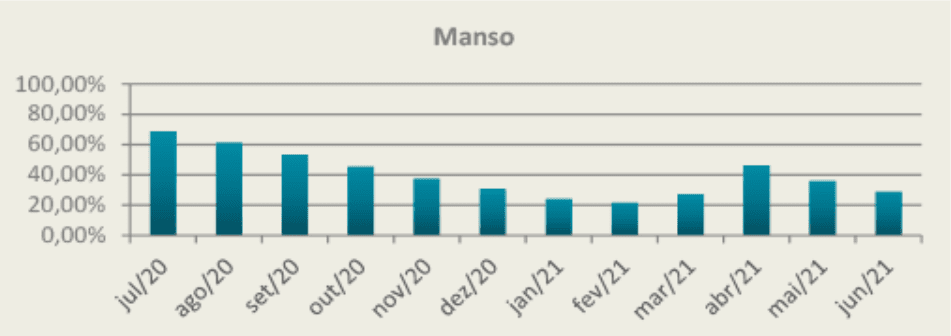 mercado pecuário