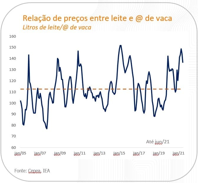 mercado de leite