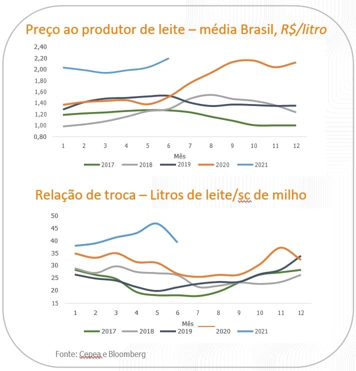 mercado de leite