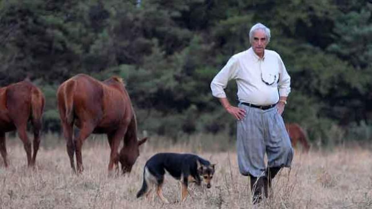 Conheça o violão gigante feito com milhares de árvores, linda história de amor e que é visto do céu