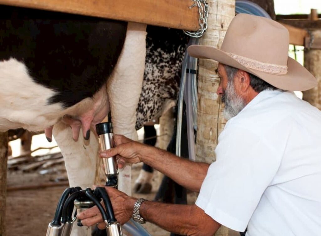 produtor de leite