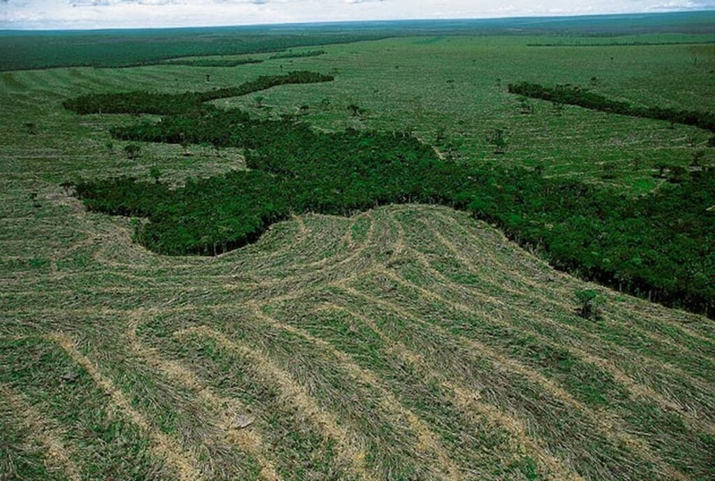 Entenda a Realocação de Reserva Legal para mineração