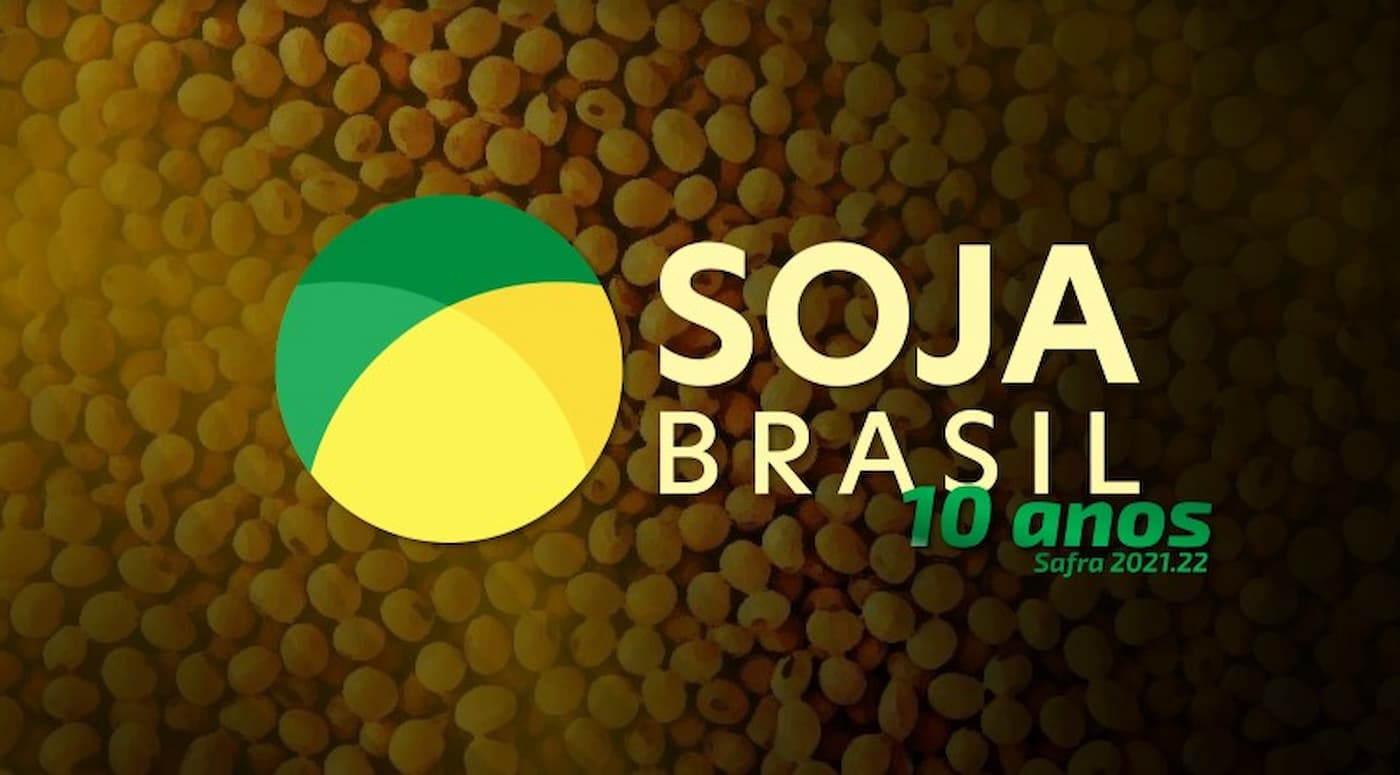 Soja Brasil 1