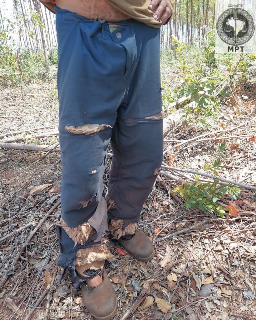 Escravidão ainda? Agentes federais e MPT autuam fazenda em MG que submetia pessoas ao trabalho escravo