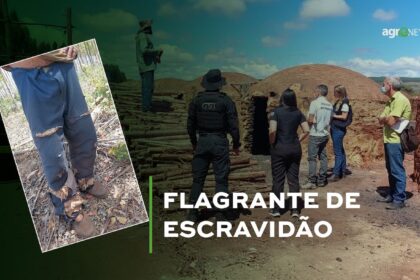 Trabalho Escravo Agronews