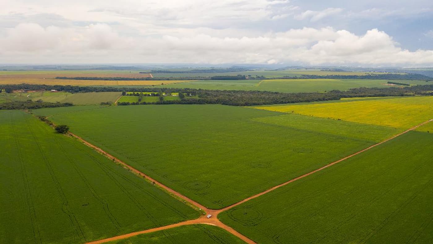 Lavoura Com Reserva Legal Em Campo Verde