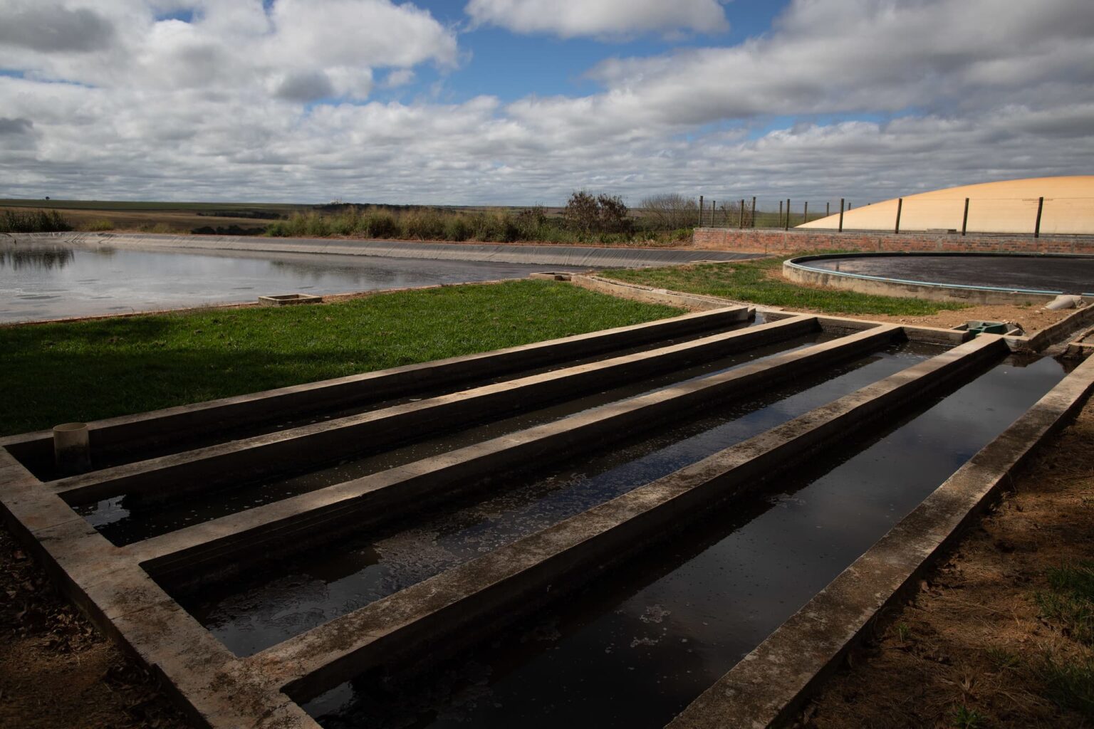 Energia Limpa Residuos Agropecuarios Agronews