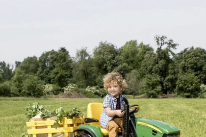 Dia Das Criancas Brinquedos Agro