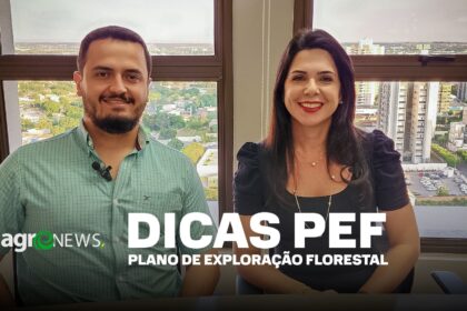 Dicas E Orientacoes Sobre O Plano De Exploracao Florestal Pef 1