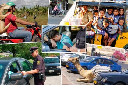 Leis De Transito Bizarras No Brasil E Mundo Voce Nao Vai Acreditar