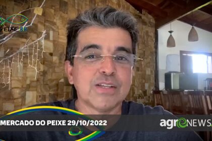 Mercado Do Peixe 29out2022