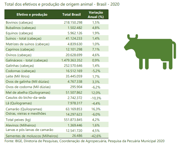 Dia Nacional da Pecuária, entenda a importância desta data