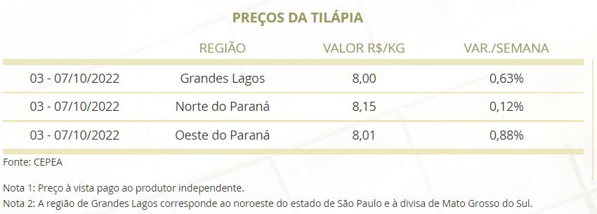 Mercado do Peixe nesta semana, 14 de outubro 2022