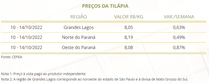 Mercado do Peixe 26 de novembro 2022, 16 semanas de aumentos consecutivos