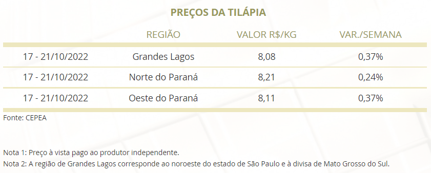 Mercado do Peixe 21 de outubro 2022, veja os destaques da semana