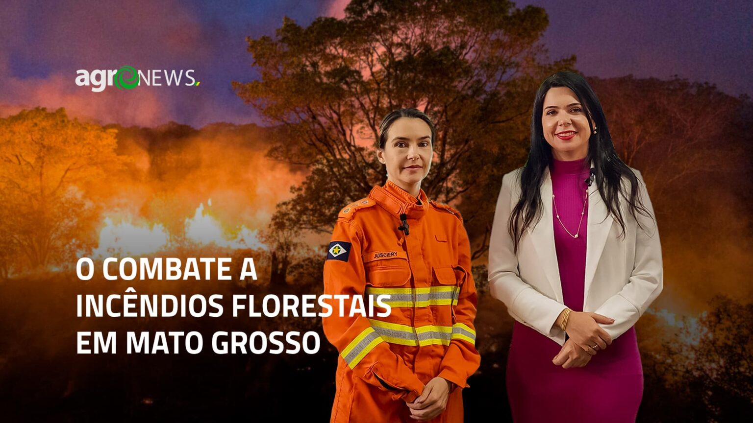 A Importancia Do Bea No Combate Aos Incendios E Queimadas Ilegais 2