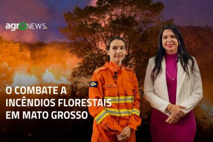 A Importancia Do Bea No Combate Aos Incendios E Queimadas Ilegais 2