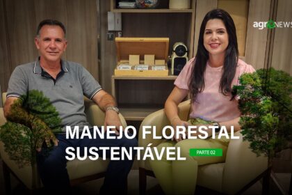 Plano De Manejo Florestal Sustentavel 2