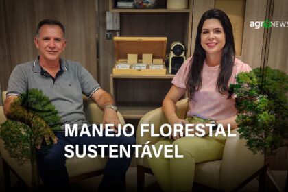 Plano De Manejo Florestal Sustentavel