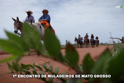 Encontro De Muladeiros