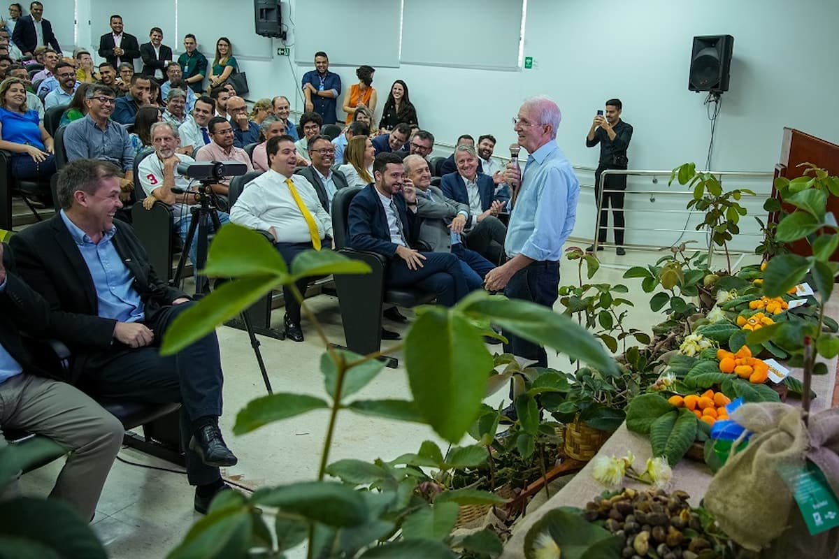 Pequi sem espinhos, novas cultivares são lançadas oficialmente pela Embrapa