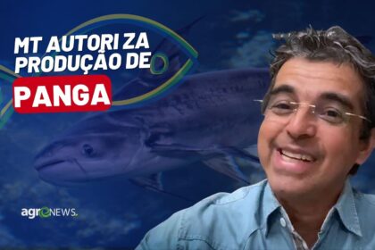 Mercado Do Peixe 03dez2022