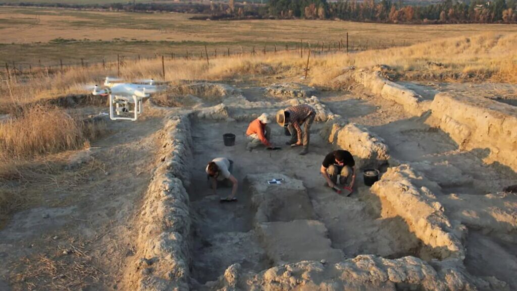 Arqueólogos descobrem fibras de algodão de 7 mil anos