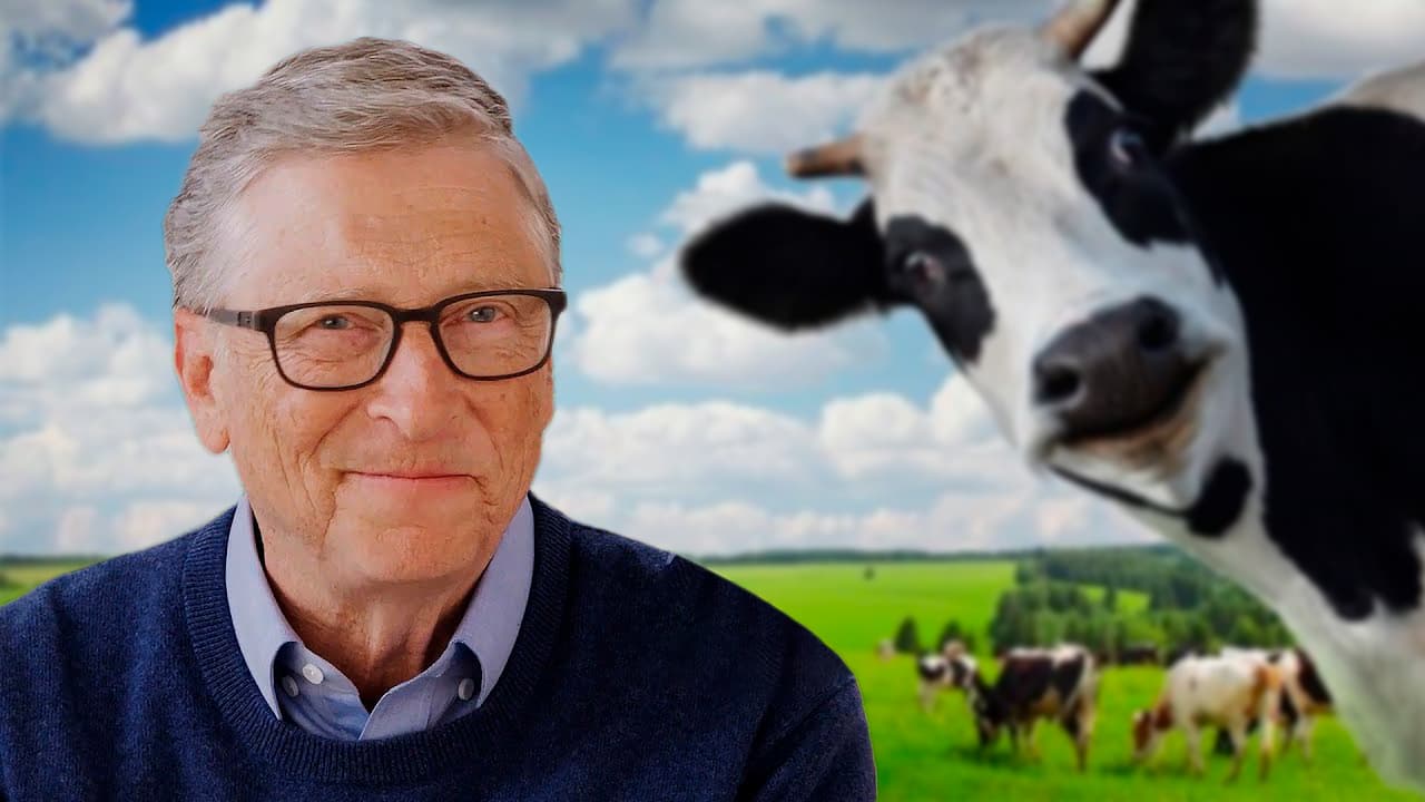 Bill Gates Emissoes Gado