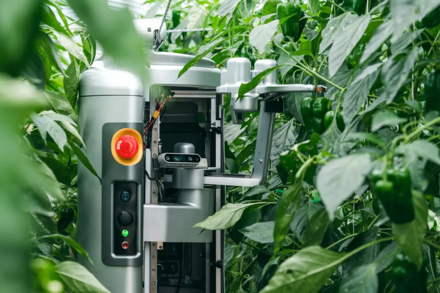 Ces 2023 Tecnologias E Robos Destinados Do Campo A Mesa Agronews