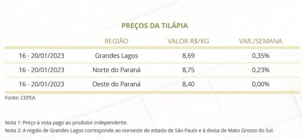 Mercado do Peixe 21 de janeiro 2023