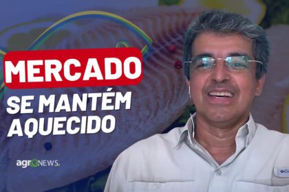 Mercado Do Peixe 04 De Fevereiro 2023 Agronews