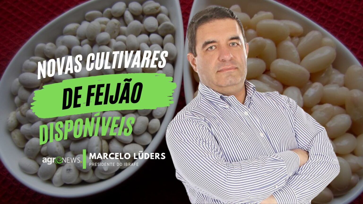 Novas Cultivares De Feijao Com Maior Produtividade Chegam Ao Mercado